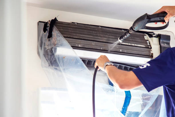 Best Affordable HVAC Duct Cleaning  in Lealman, FL