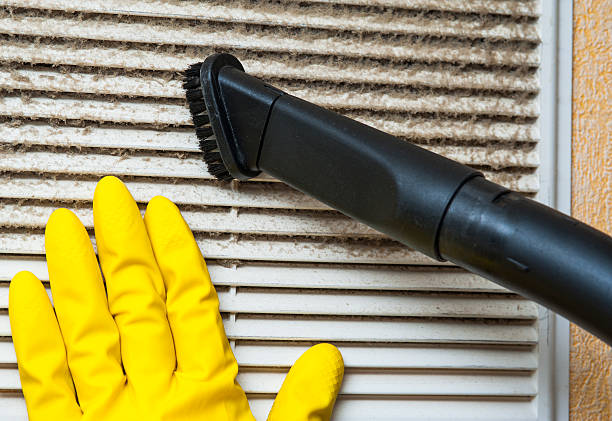 Best Air Duct Cleaning Near Me  in Lealman, FL